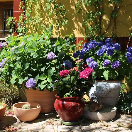 شقة Bel Air -les Restanques