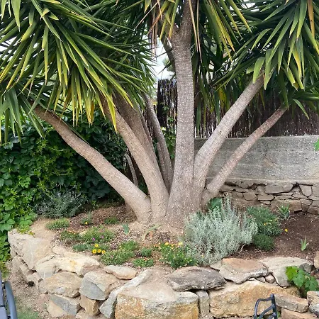 Bel Air -les Restanques لا سيوتا